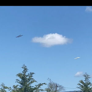 Meet your Posher, Pete